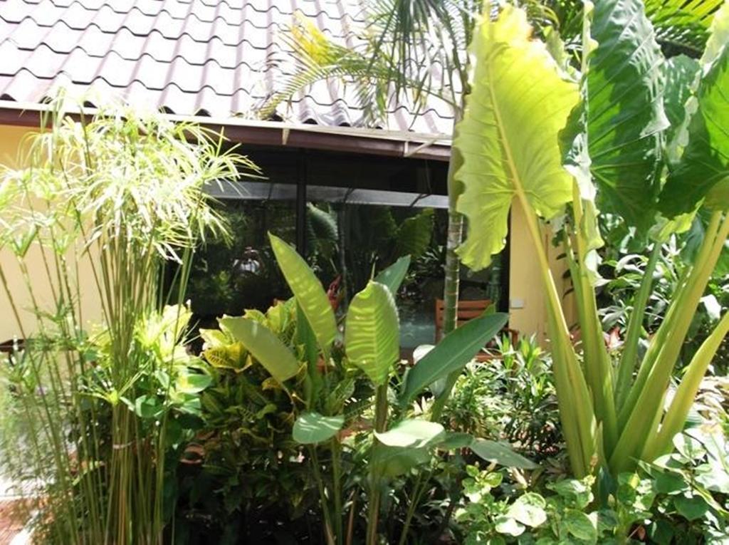 Op Bungalow Chaweng  Exterior foto